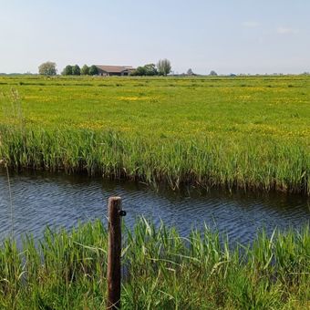 Oudega / Sandra Peters